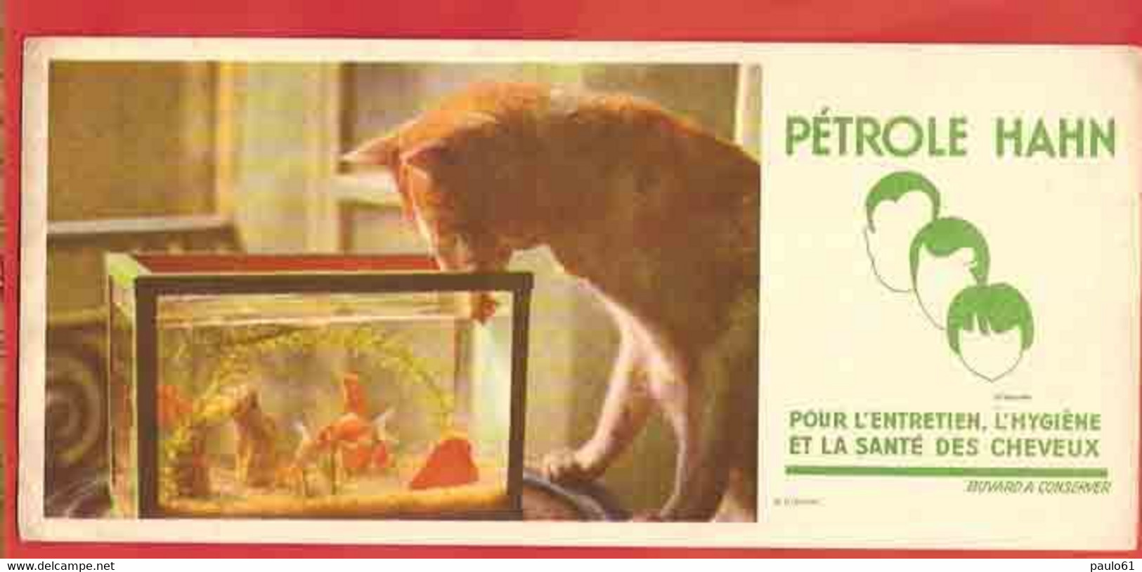 BUVARD / BLOTTER  ::  Petrole Hann  : Le Chat Qui Surveille Le Poisson Rouge - Animaux