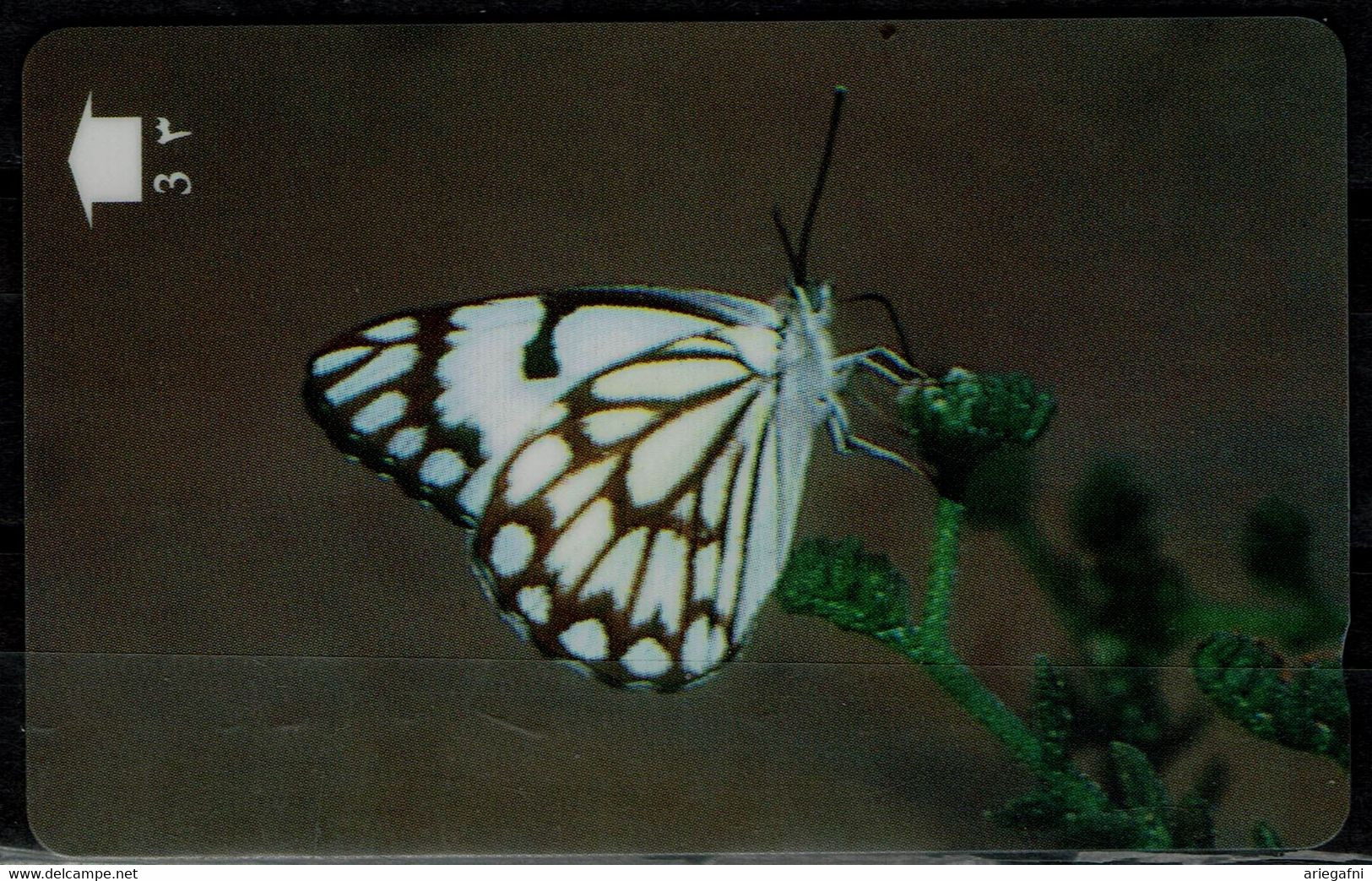 OMAN 1998 PHONECARD BUTTERFLIES USED VF!! - Schmetterlinge
