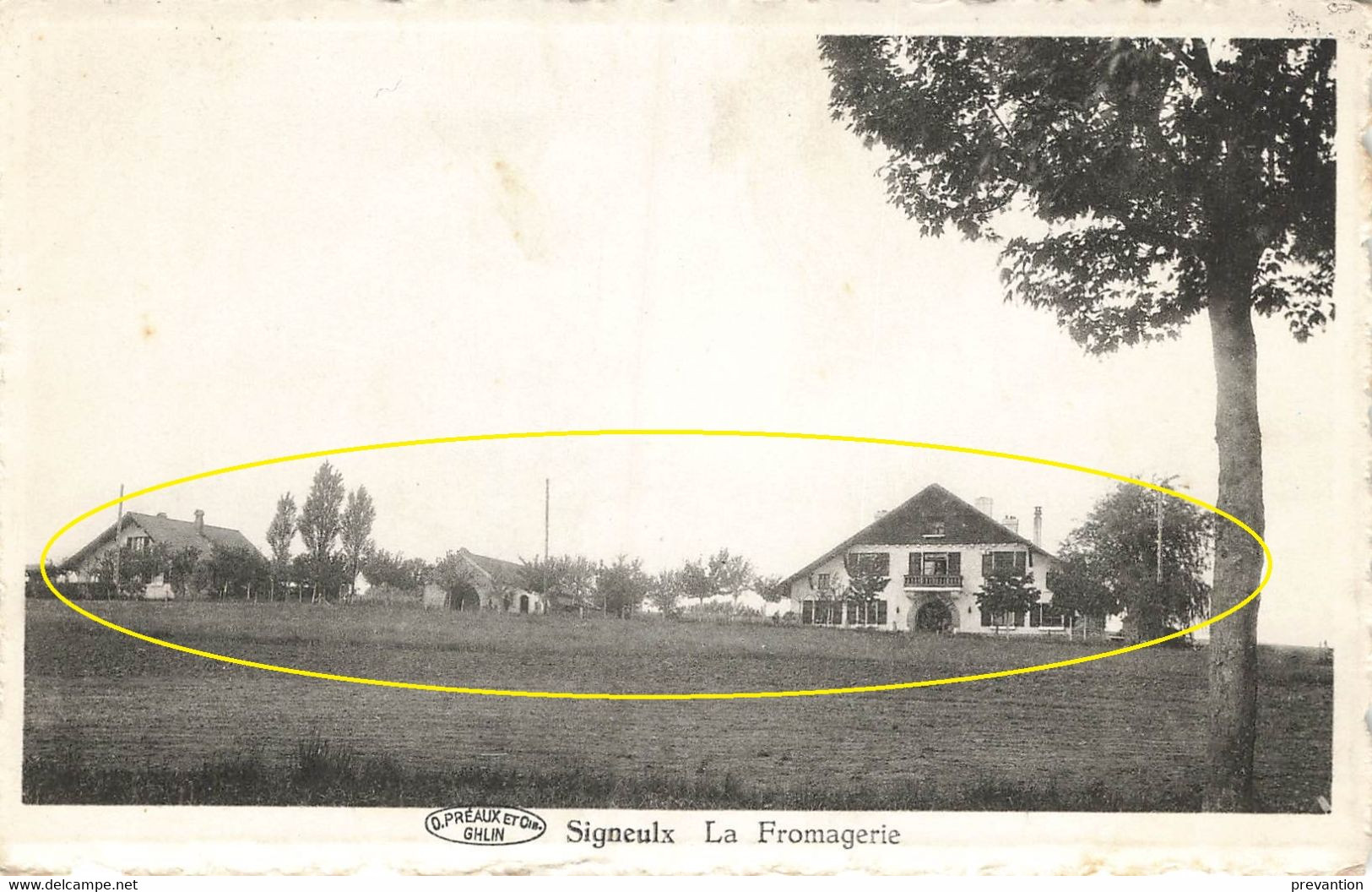 SIGNEULX - La Fromagerie - Carte Circulé - Musson