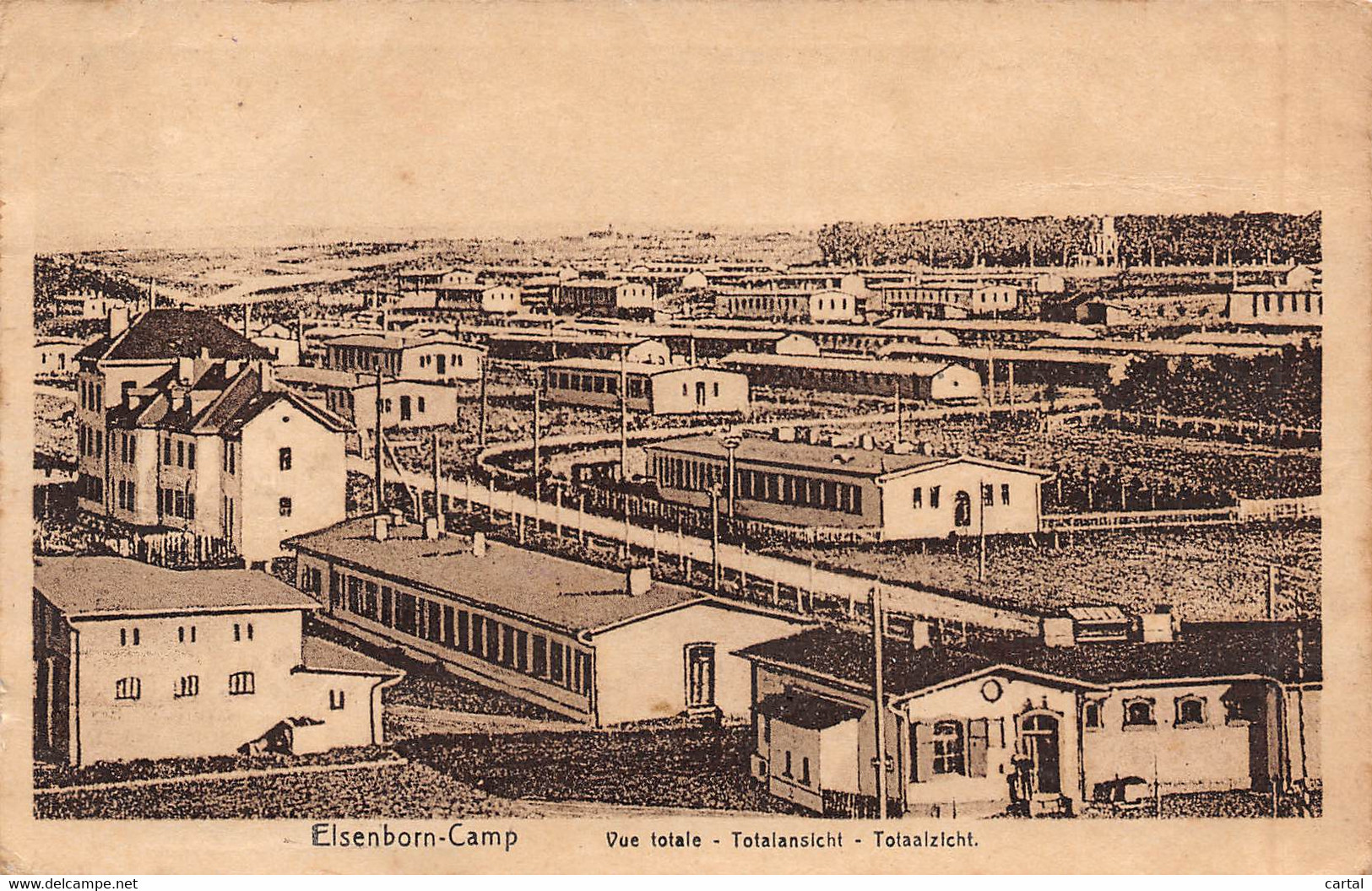 ELSENBORN-CAMP - Vue Totale - Totalansicht - Totaalzicht. - Elsenborn (camp)