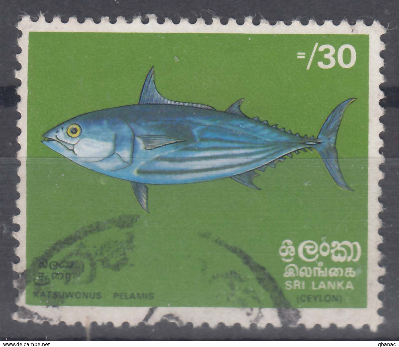 Ceylon (Sri Lanka) 1972 Fish Mi#430 Used - Sri Lanka (Ceylan) (1948-...)