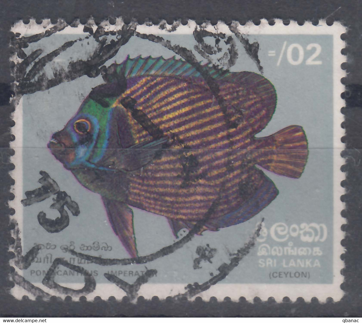 Ceylon (Sri Lanka) 1972 Fish Mi#428 Used - Sri Lanka (Ceylan) (1948-...)