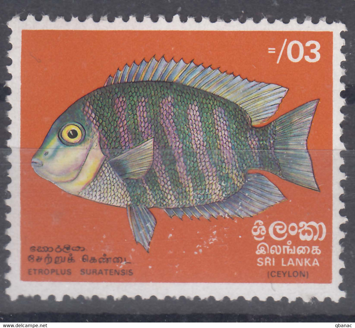 Ceylon (Sri Lanka) 1972 Fish Mi#429 Mint Never Hinged - Sri Lanka (Ceylan) (1948-...)