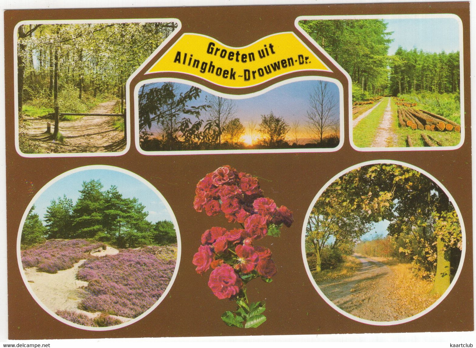 Groeten Uit Alinghoek-Drouwen - (Drenthe, Nederland/Holland) - Nr. F 4223 - Odoorn