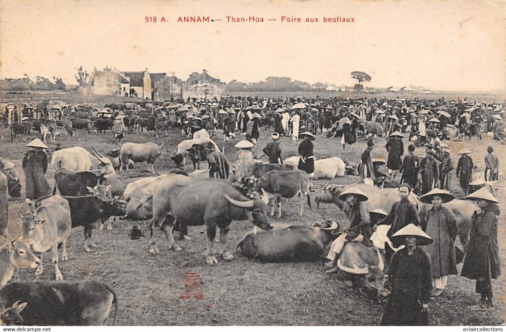 Tonkin:  Annam.   Than-Hoa   Marché Aux Bestiaux     (voir Scan) - Viêt-Nam