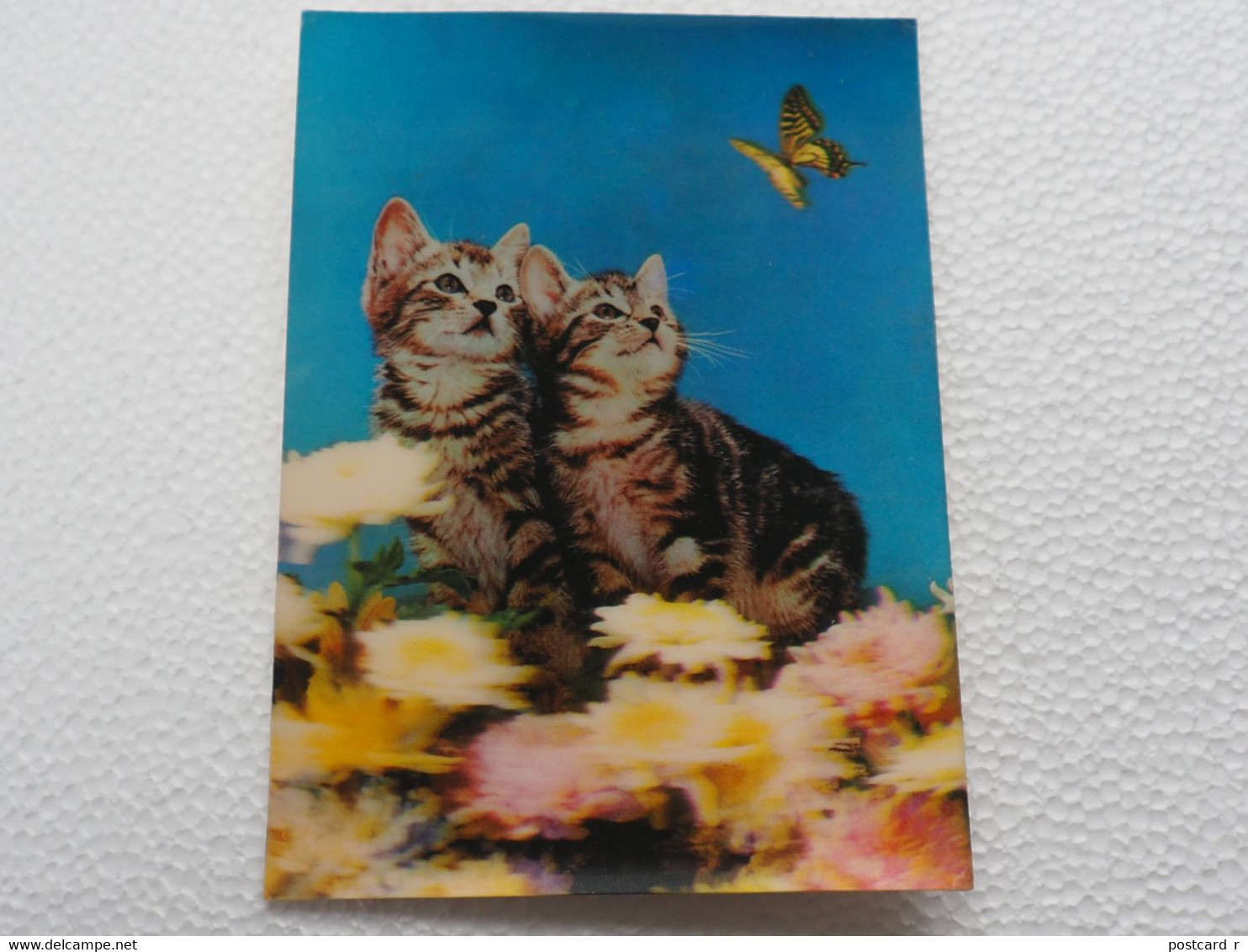 3d 3 D Lenticular Stereo Postcard Kittens    A 214 - Cartoline Stereoscopiche