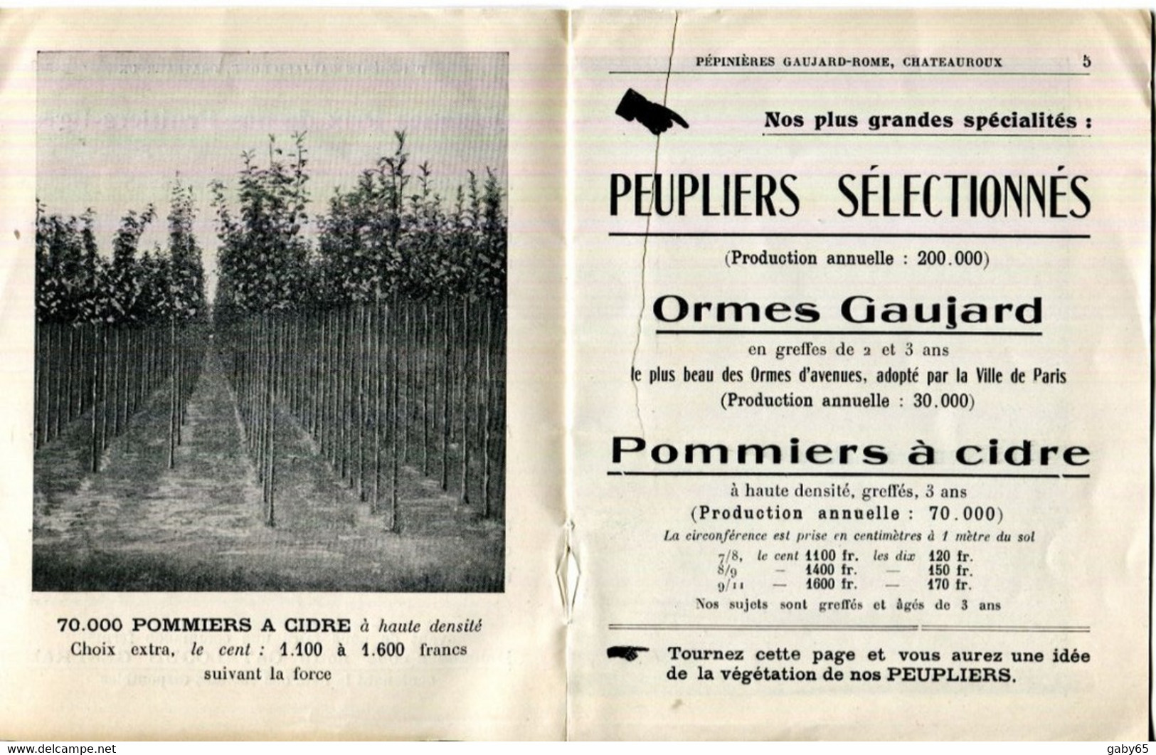 36.INDRE.CHATEAUROUX.PETIT LIVRET.100 HECTARES EN CULTURE.PEPINIERES GAUJARD-ROME. - Non Classés