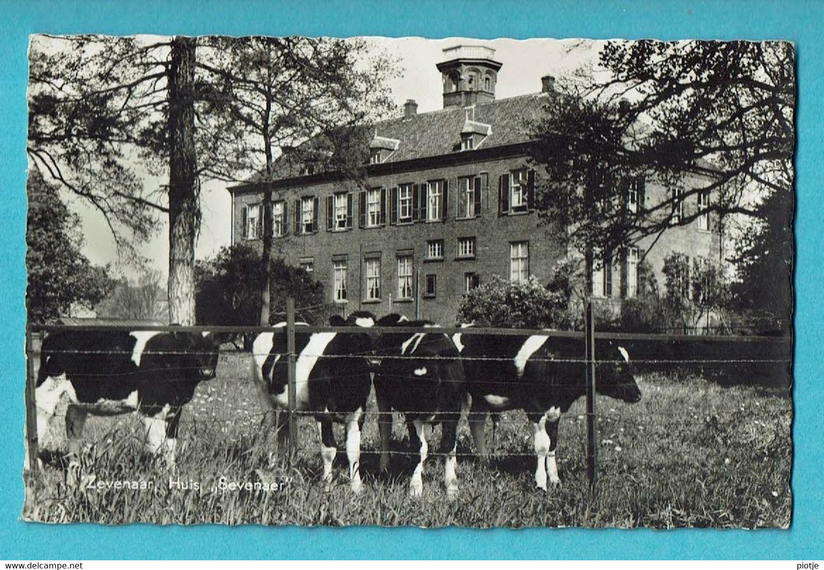 * Zevenaar (Gelderland - Nederland) * (Uitg Boekhandel Akkermans) Huis Sevenaer, Koe, Cow, Vache, Rare, Old - Zevenaar