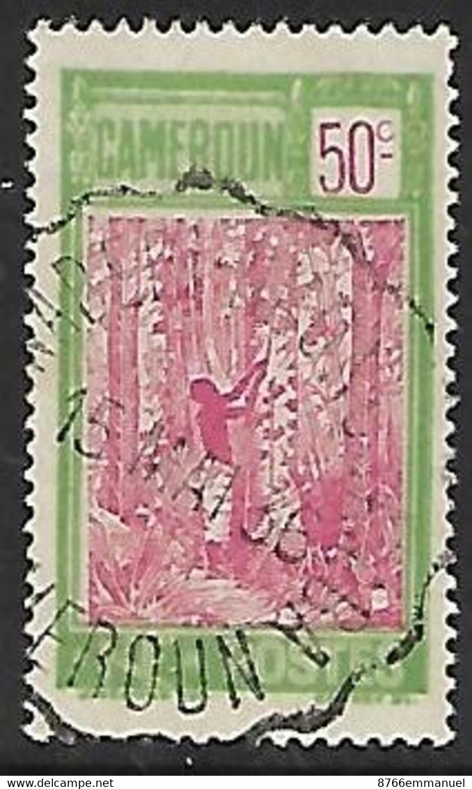 CAMEROUN N°119  Oblitération De Convoyeur Bonaberi-N'Kong-Samba - Used Stamps