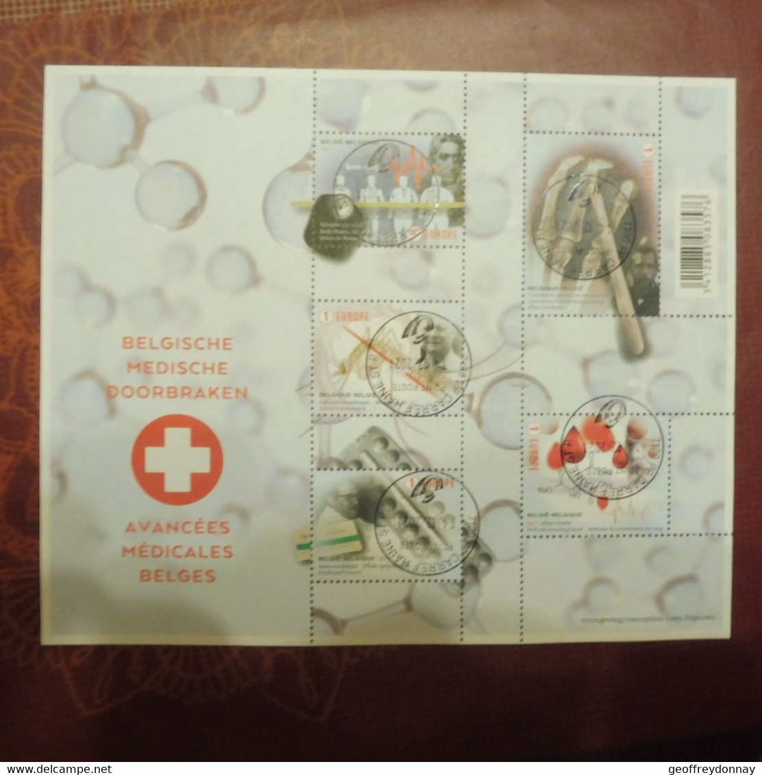 Belgique  Bloc 251 2017 Oblitéré  / Belgie Block 250 Croix Rouge Rode Kruis Gestempelt Mooie 2017 (haine St Pierr) - Used Stamps