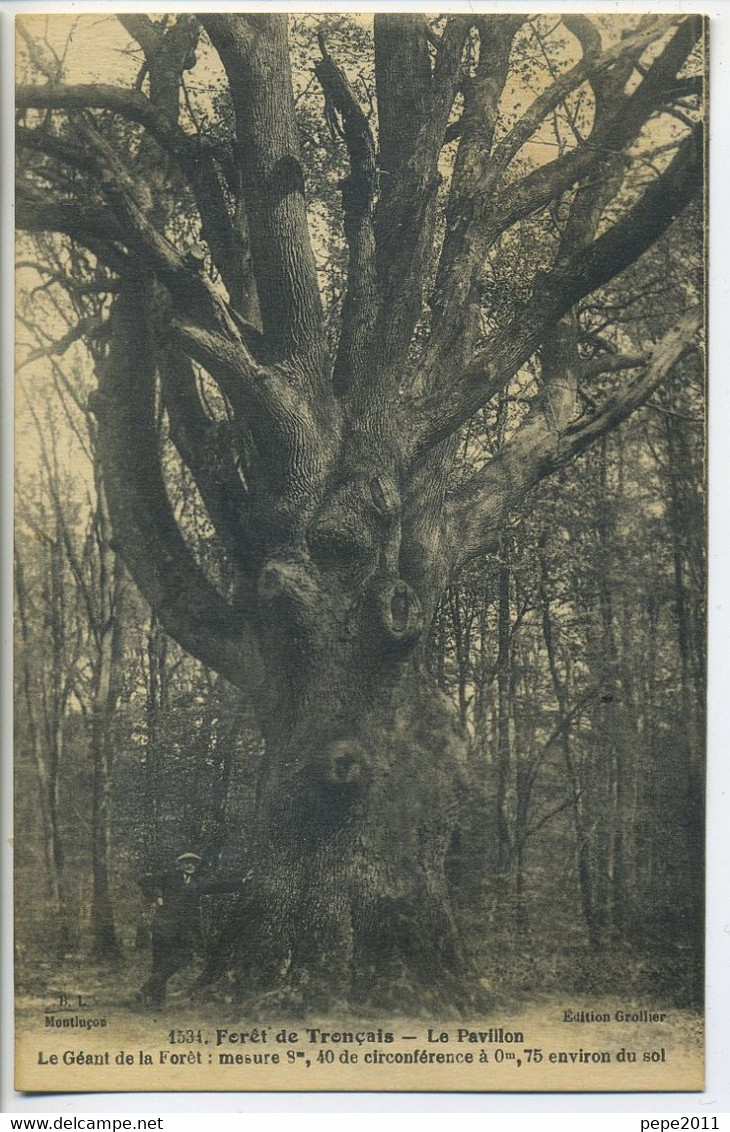 CPA 03 FORËT DE TRONÇAIS Le Pavillon Géant De La Forêt - Alberi