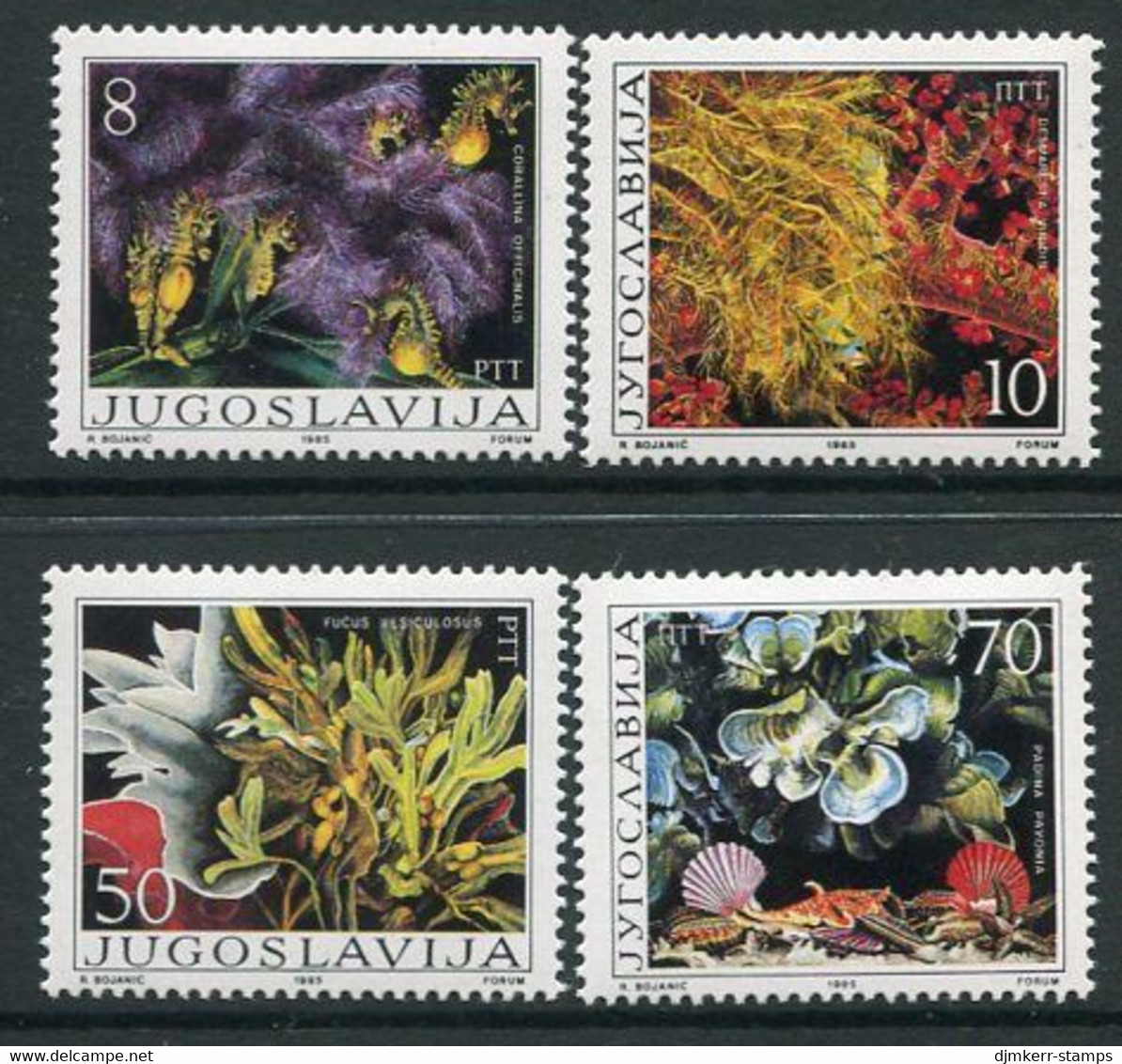 YUGOSLAVIA 1985 Algae MNH / **.  Michel 2121-24 - Unused Stamps