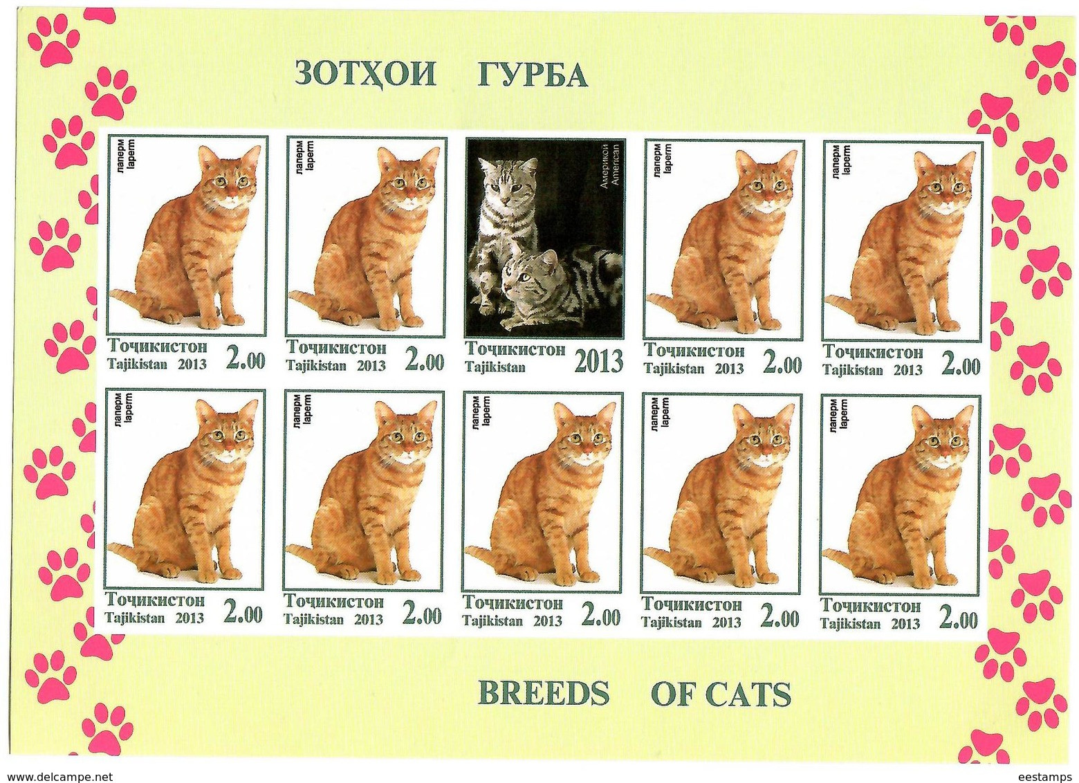 Tajikistan.2013 Cats.Imperf  3 Sheetlets, Each Of 9 + Label   Michel # 614-16b  KB - Tajikistan