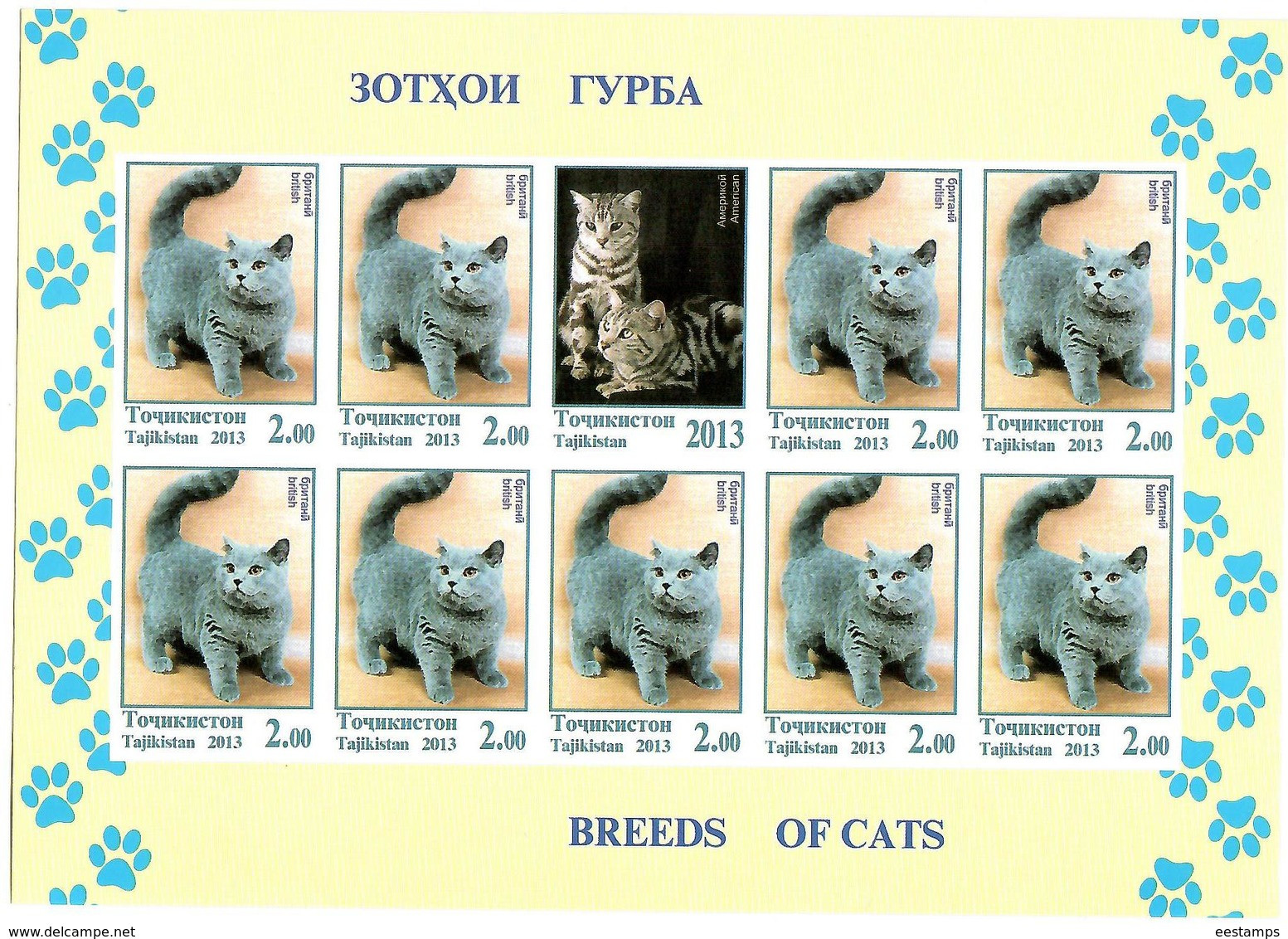 Tajikistan.2013 Cats.Imperf  3 Sheetlets, Each Of 9 + Label   Michel # 614-16b  KB - Tajikistan