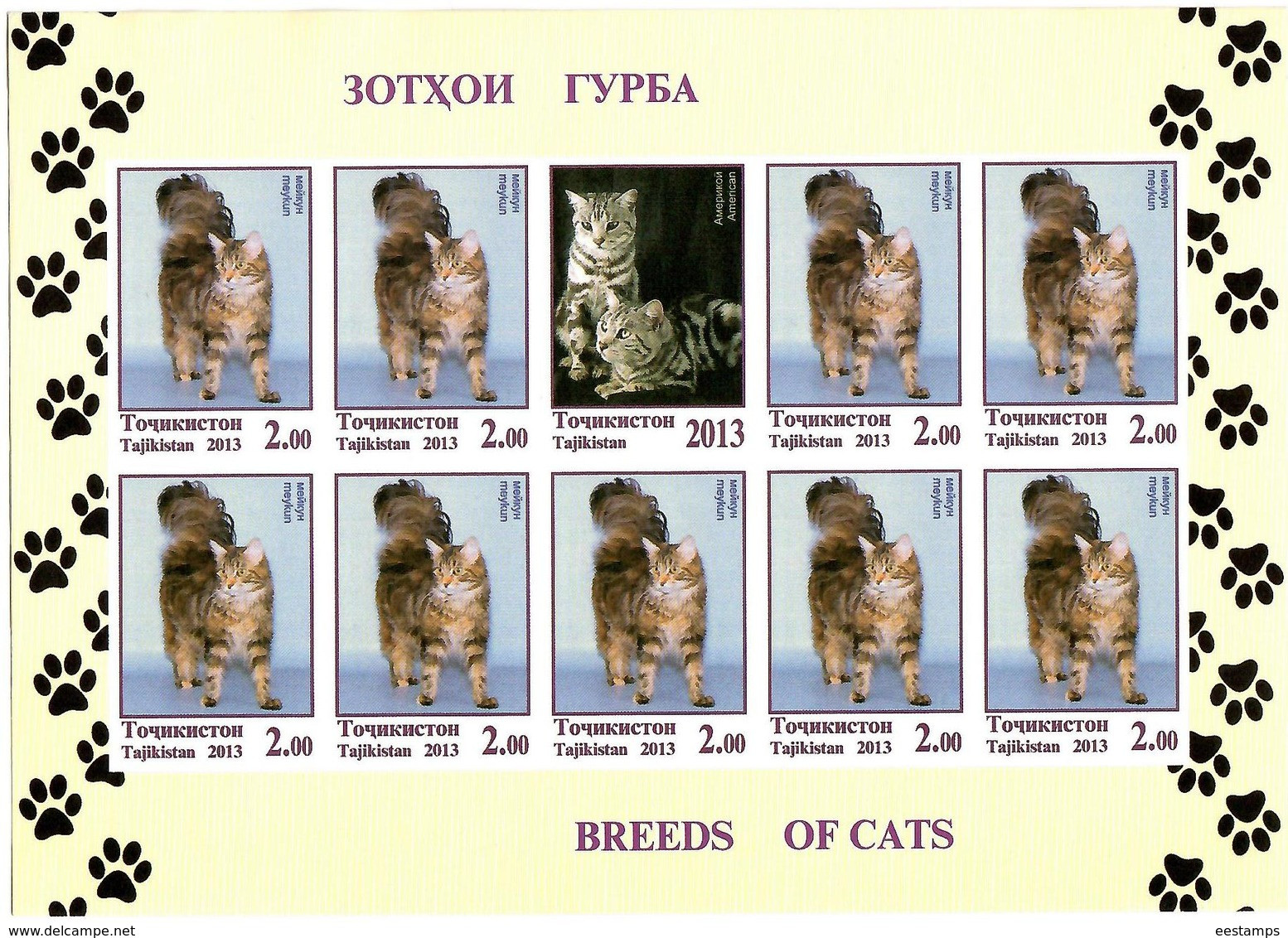 Tajikistan.2013 Cats.Imperf  3 Sheetlets, Each Of 9 + Label   Michel # 614-16b  KB - Tadzjikistan