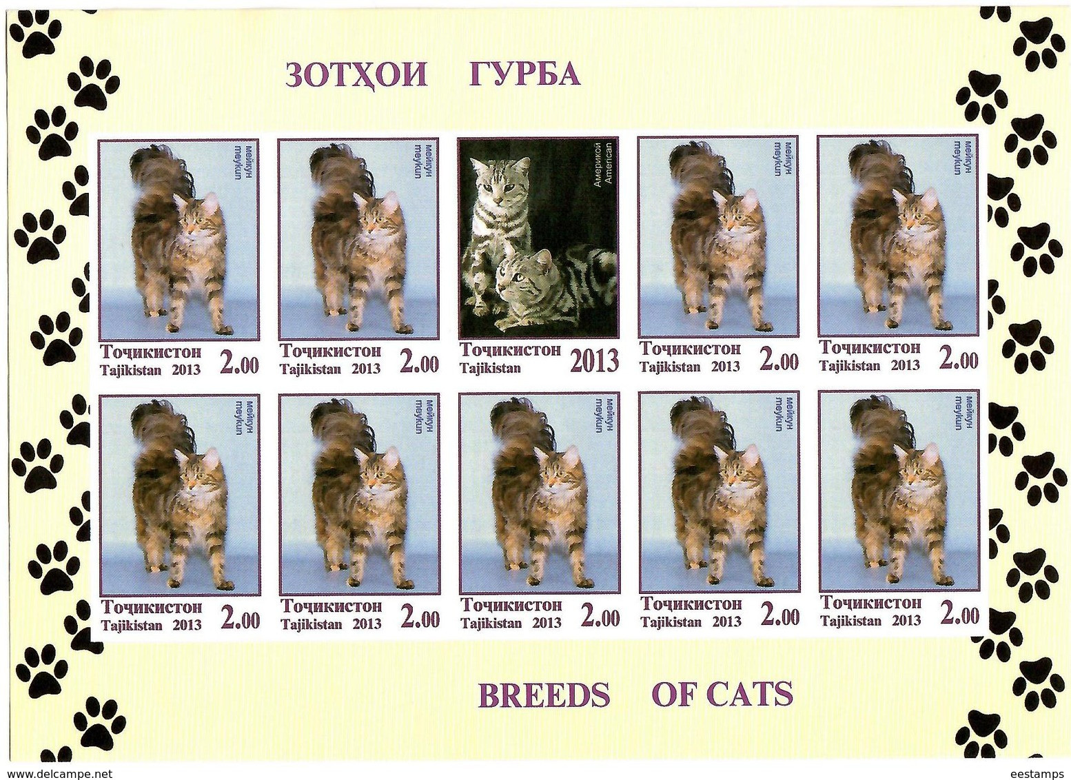 Tajikistan.2013 Cats.Imperf  3 Sheetlets, Each Of 9 + Label   Michel # 614-16b  KB - Tayikistán