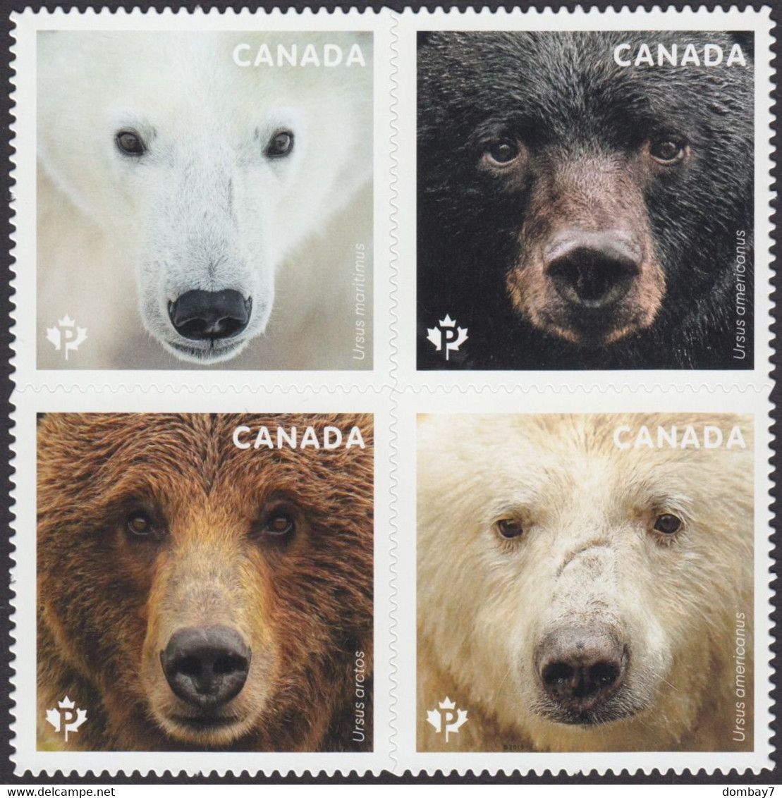 Qc. BEARS OF CANADA - Type 2 - DIE CUT Block Of 4 From Booklet (POLAR BEAR At UL) Canada 2019 - Unused Stamps