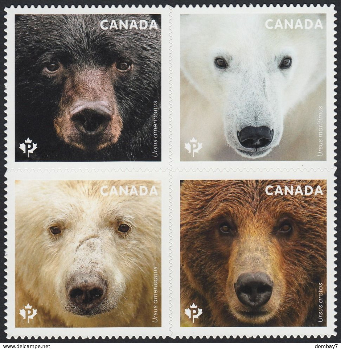 Qc. BEARS OF CANADA - Type 1 - DIE CUT Block Of 4 From Booklet (BLACK BEAR At UL) Canada 2019 - Unused Stamps