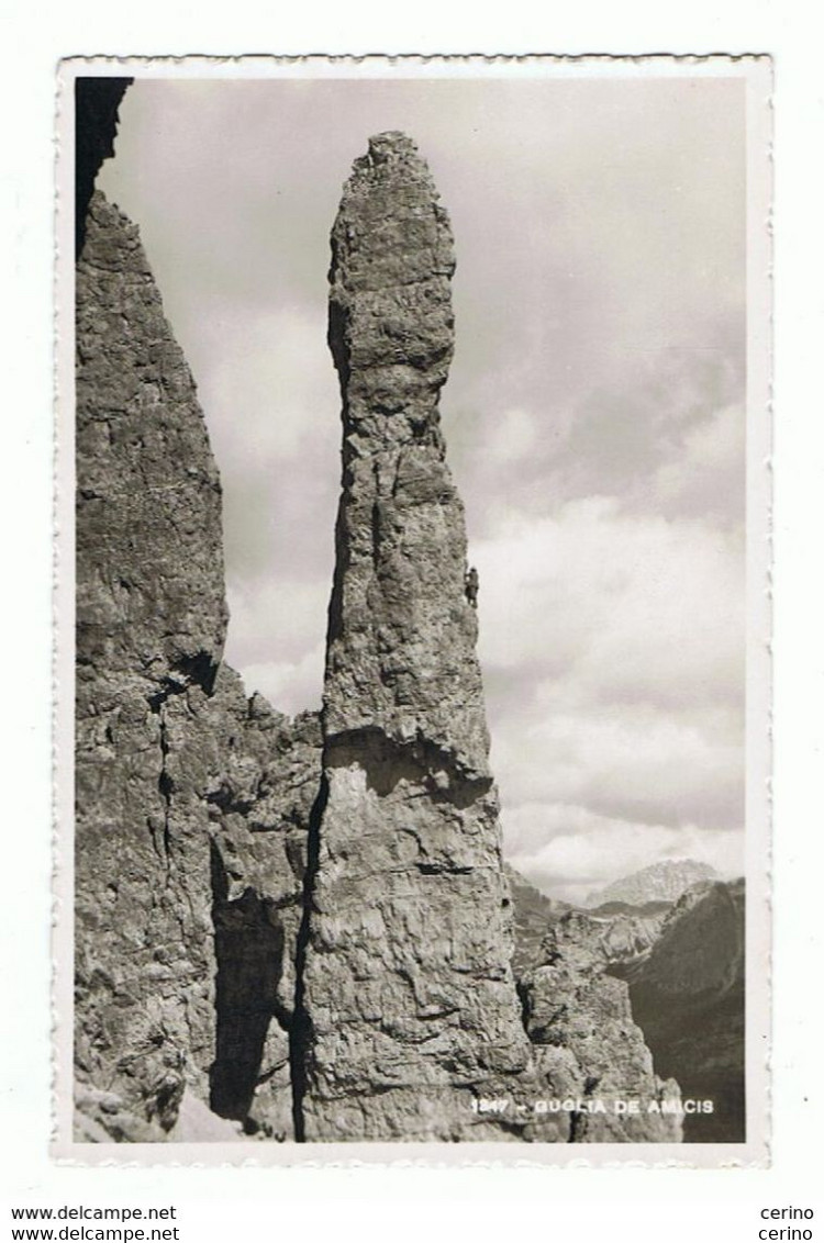 CORTINA (BL):  GUGLIA  DE  AMICIS  -  FOTO  -  FP - Bergsteigen