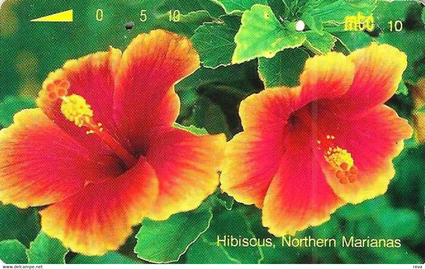 NORTHERN MARIANA ISLANDS 10 U SAIPAN HIBISCUS FLOWER Issued 1993 NMN-MM-05 ISSUED 1993 TAMURA USED READ DESCRIPTION !! - Noordelijke Marianen