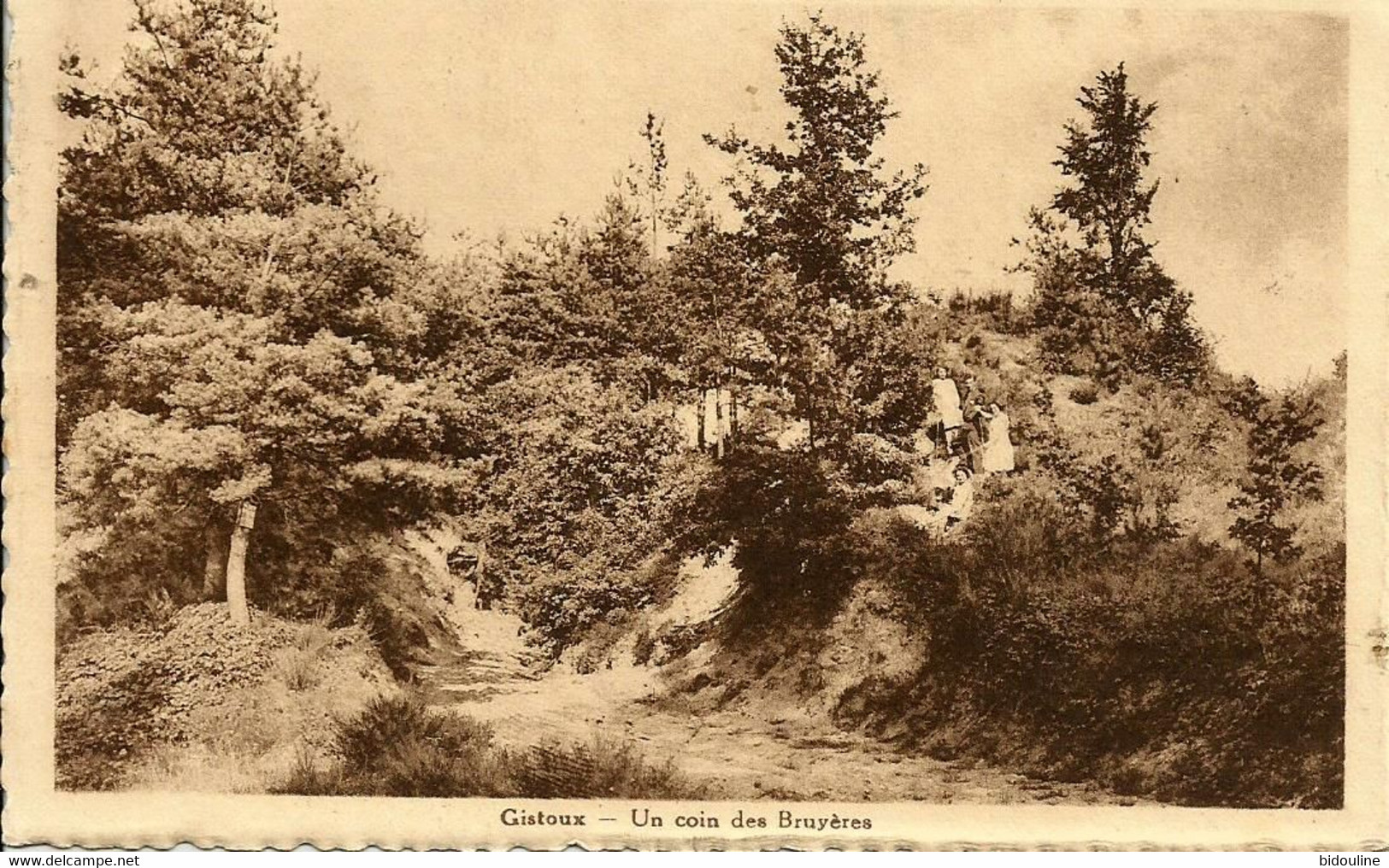 CPA-GISTOUX " Un Coin De Bruyères " - Chaumont-Gistoux