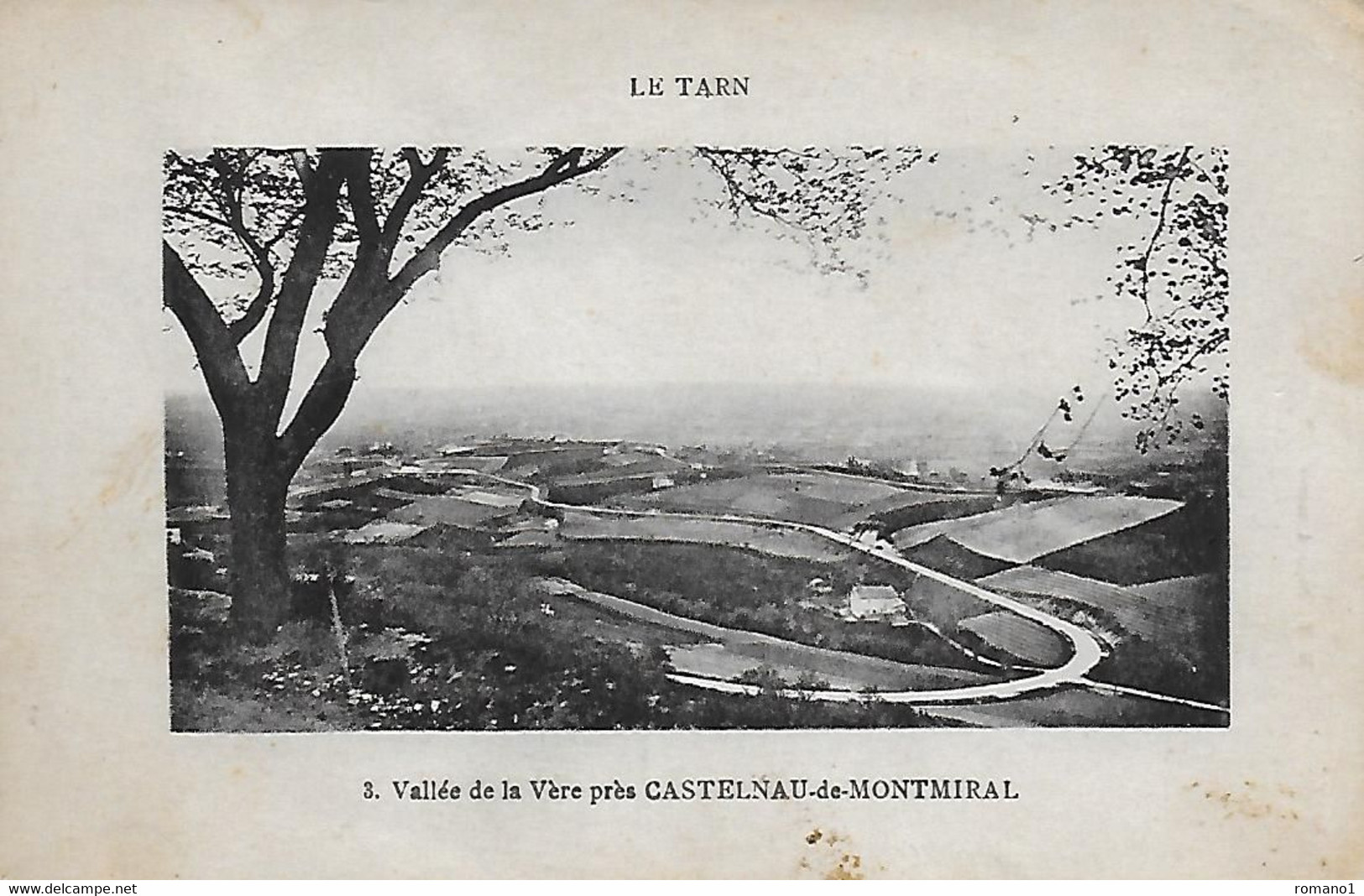 81)   Vallée De La Vère Prés  CASTELNAU  De MONTMIRAL - Castelnau De Montmirail