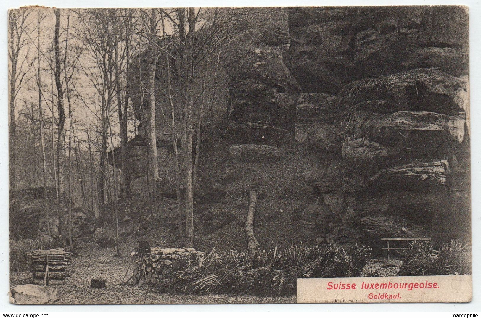 LUXEMBOURG / 1909 AMBULANT ECHTERNACH - ETTELBRUCK  SUR CARTE POSTALE ==> FRANCE / BAHNPOST (ref 8750c) - 1906 Guillermo IV