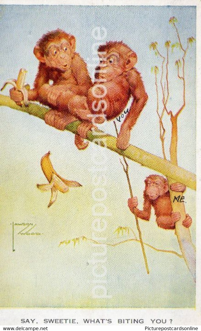 SAY SWEETIE WHATS GOING ON OLD COLOUR POSTCARD VALENTINE LAWSON WOOD ARTIST SIGNED  NO 1359 MONKEYS - Wood, Lawson