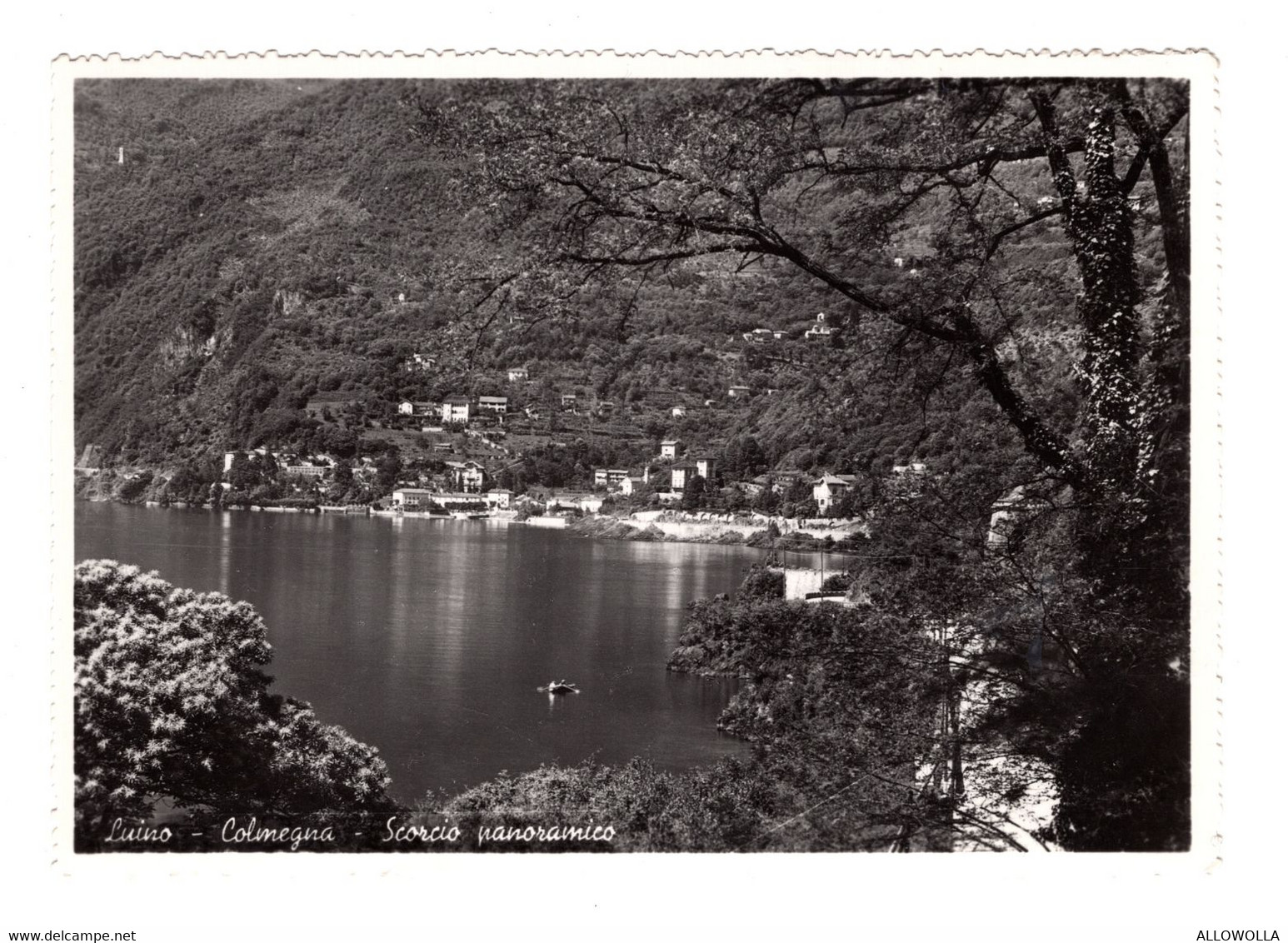 14748 " LUINO-COLMEGNA-SCORCIO PANORAMICO " -VERA FOTO-CART. POST. NON SPED. - Luino