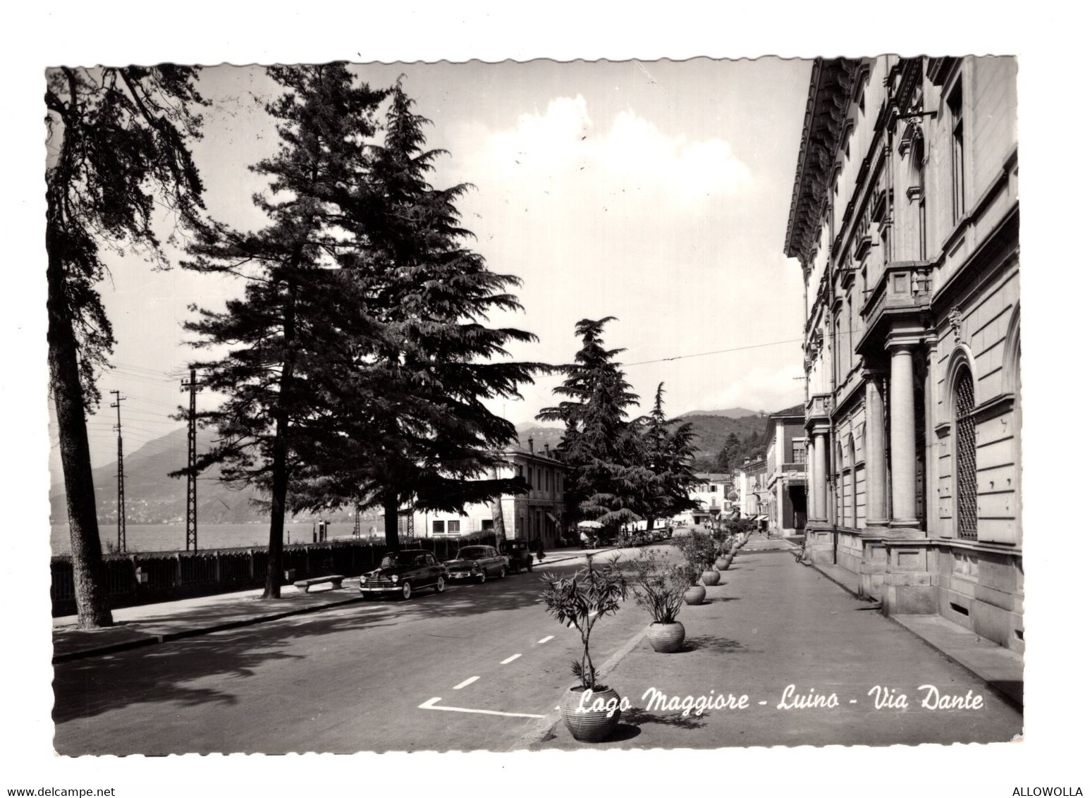 14753 " LUINO-VIA DANTE " AUTO ANNI '50-VERA FOTO-CART. POST. SPED.1958 - Luino