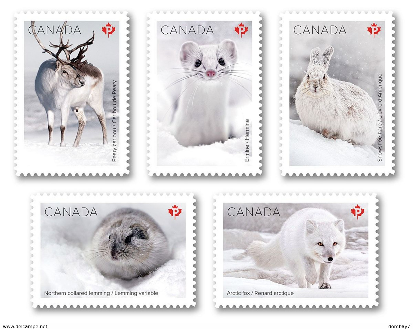 Qc. DIE CUT = FOX, CARIBOU DEER, ERMINE, HARE - RABBIT, LEMMING = ARCTIC MAMMALS = Set Of 5 From BOOKLET MNH Canada 2021 - Unused Stamps