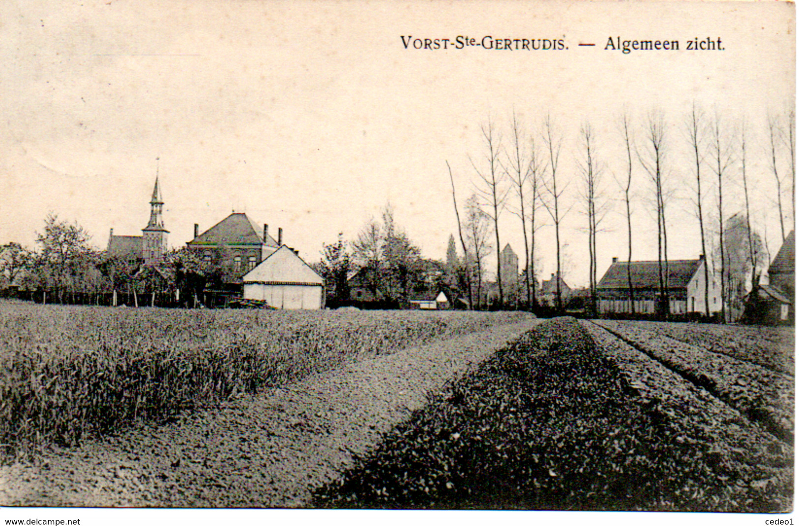 VORST SAINTE GERTRUDIS  ALGEMEEN ZICHT - Laakdal