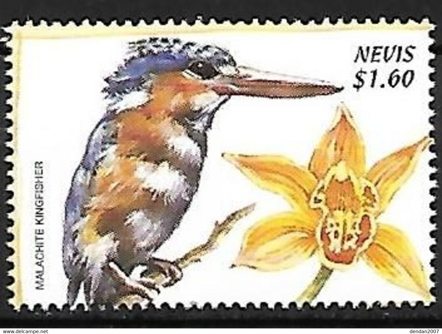 Nevis - MNH ** 1999 :  Malachite Kingfisher  -  Corythornis Cristatus - Other & Unclassified
