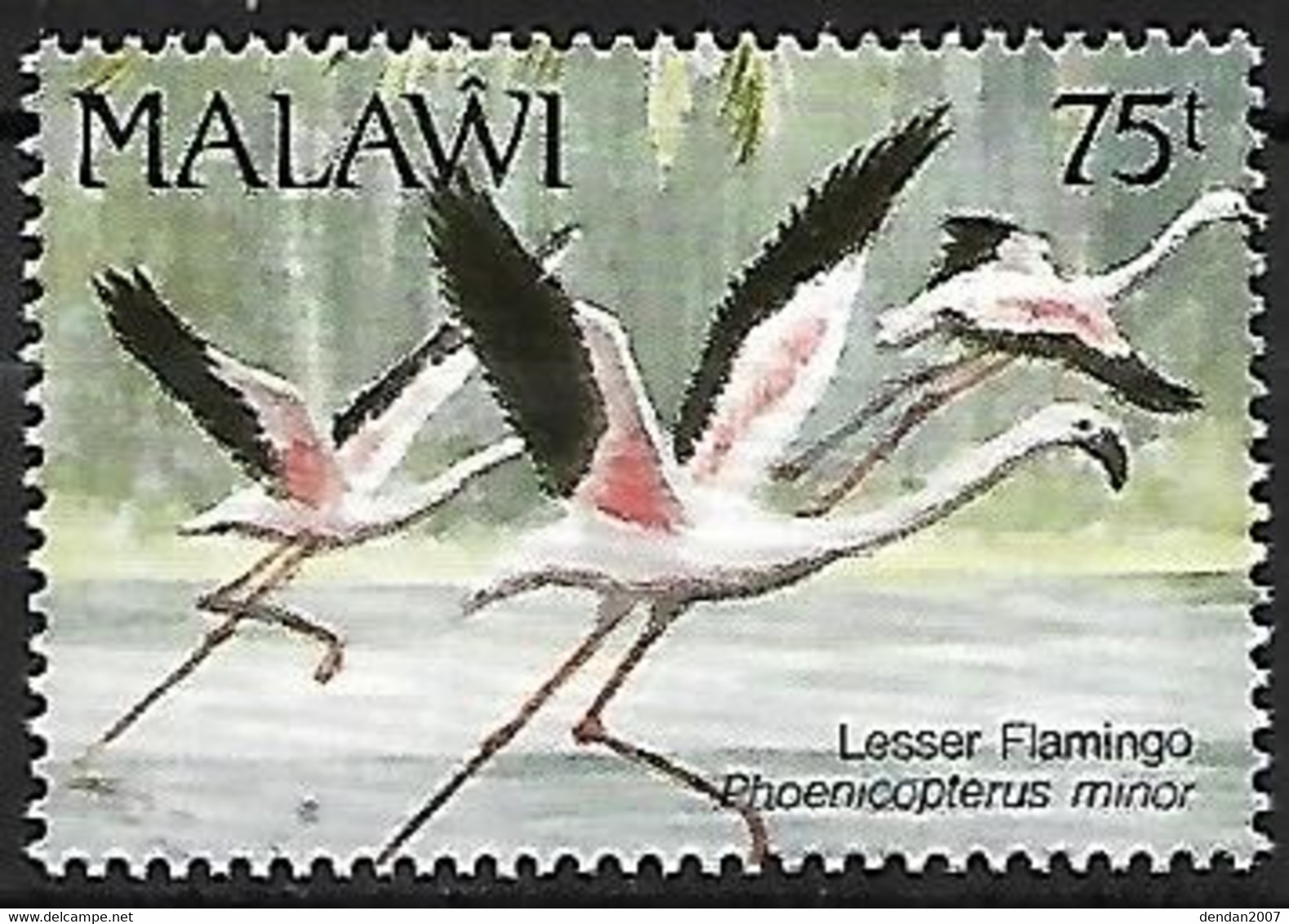 Malawi - MNH ** 1992 :    Lesser Flamingo  -  Phoeniconaias Minor - Flamingo