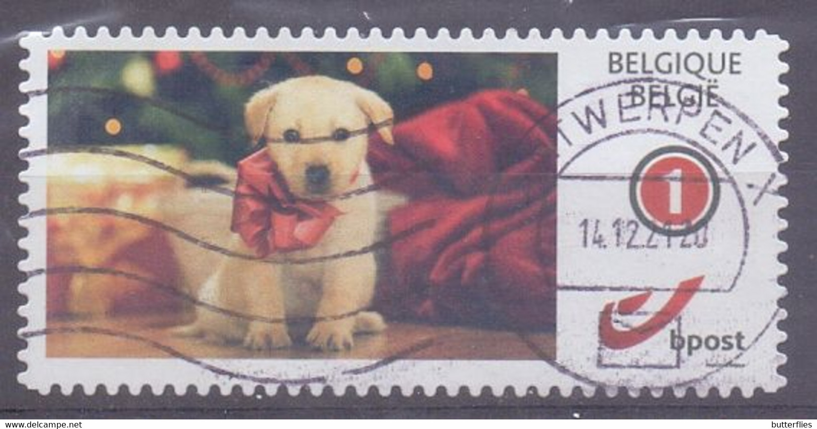 België - Duostamp  - Hond - Kerst - Zonder Papierresten - Oblitérés