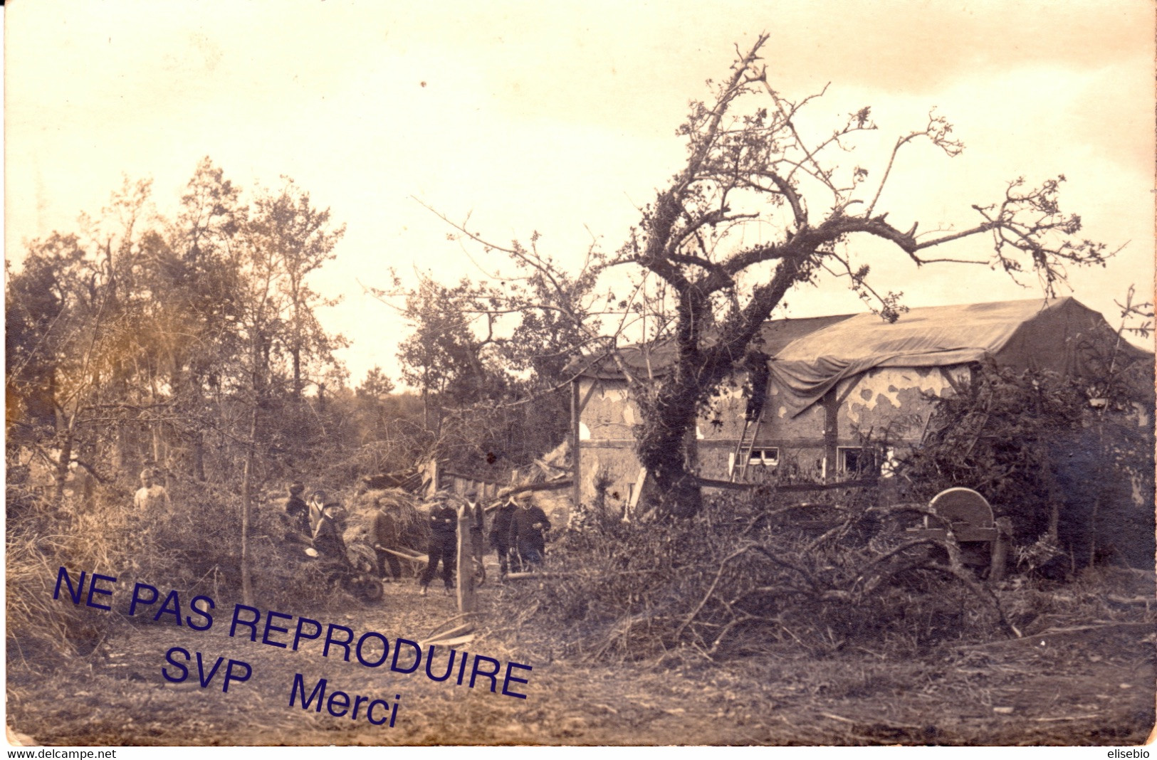 Carte Photo:  Groupe De 10 Ouvriers Réparant Une Maison Détruite Après Tempête (bâches Sur Le Toit, Branches à Terre ... - Photos