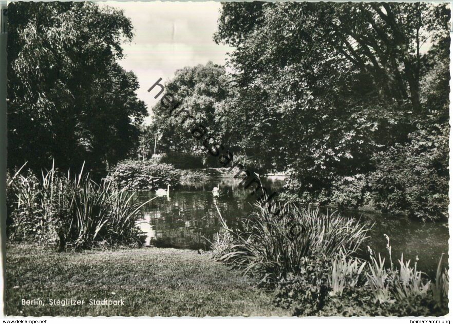 Berlin-Steglitz - Stadtpark - Foto-Ansichtskarte - Verlag Kunst Und Bild Berlin - Steglitz