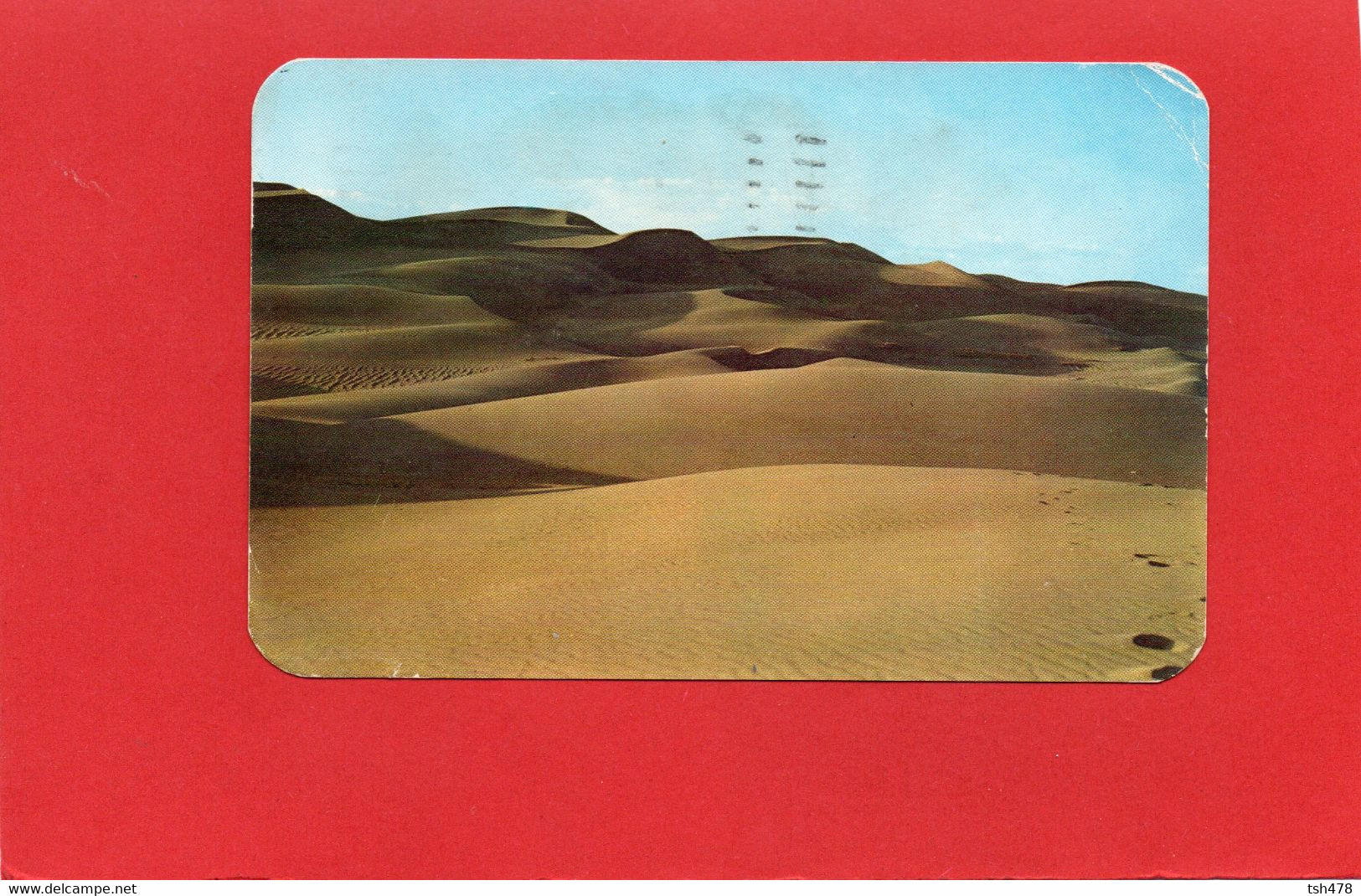 ETATS-UNIS----COLORADO---sand Dunes San Luis---voir 2 Scans - USA Nationalparks