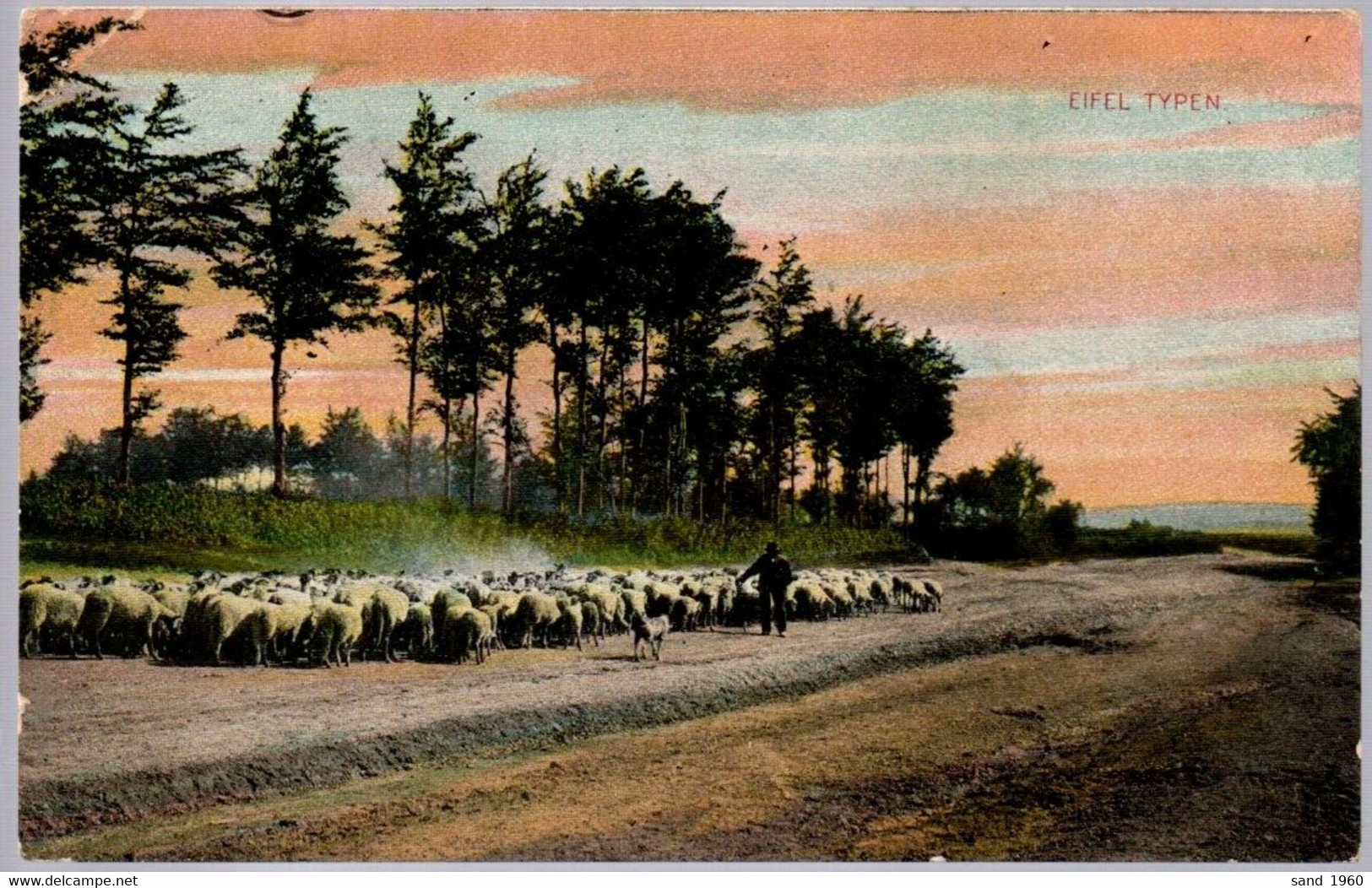 Elsenborn/Malmedy/Waimes - EIFEL TYPEN - Le Berger Et Les Moutons - Couleur - Circulé: 1921 - 2 Scans. - Butgenbach - Buetgenbach