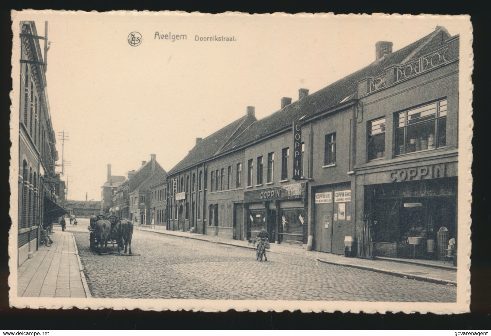 AVELGEM   DOORNIKSTRAAT - Avelgem