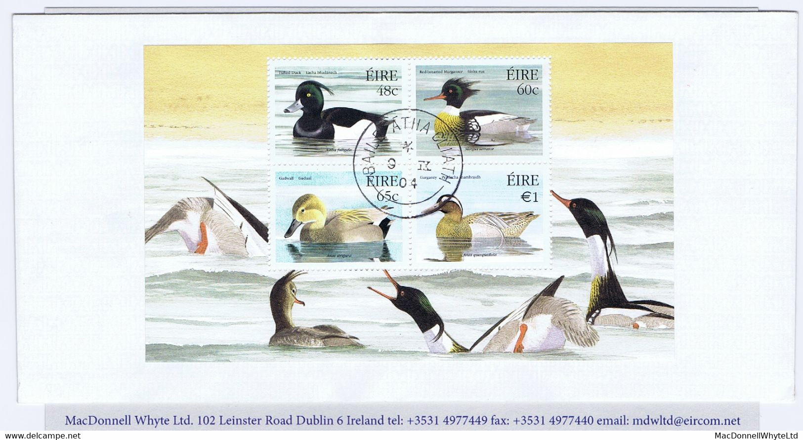 Ireland Birds 2004 Ducks Miniature Sheet Fine Used On Envelope Dublin Cds 9 IX 04 - Storia Postale