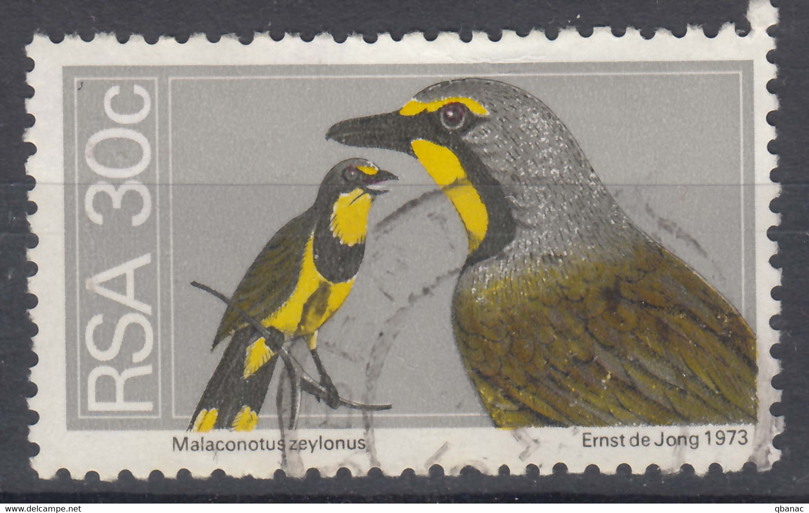 South Africa 1974 Birds Mi#460 Used - Oblitérés