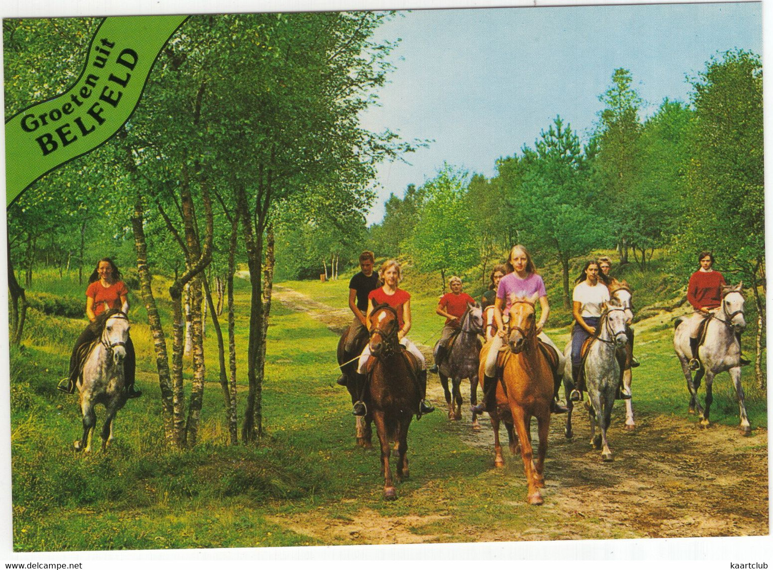 Groeten Uit Belfeld - (Venlo, Limburg, Nederland/Holland) - Nr. 665 - Ruiters Ter Paard - Venlo