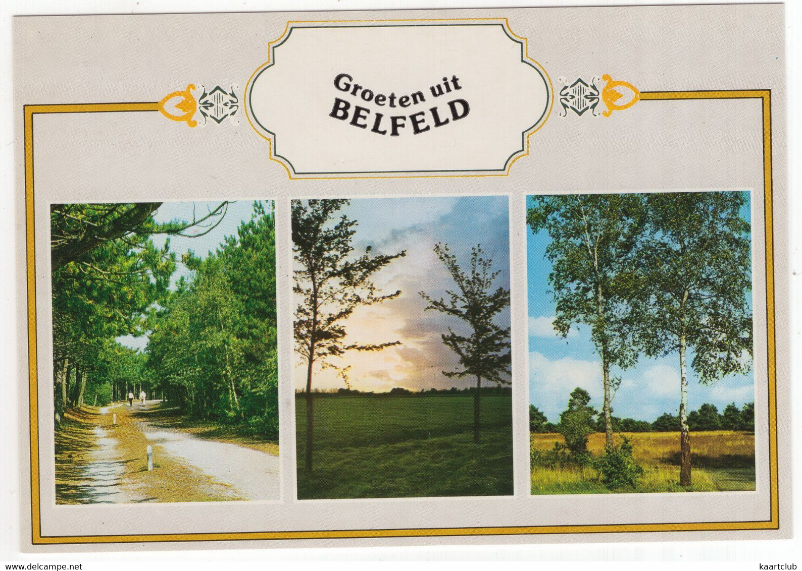 Groeten Uit Belfeld - (Venlo, Limburg, Nederland/Holland) - Nr. 794 - Natuur - Venlo