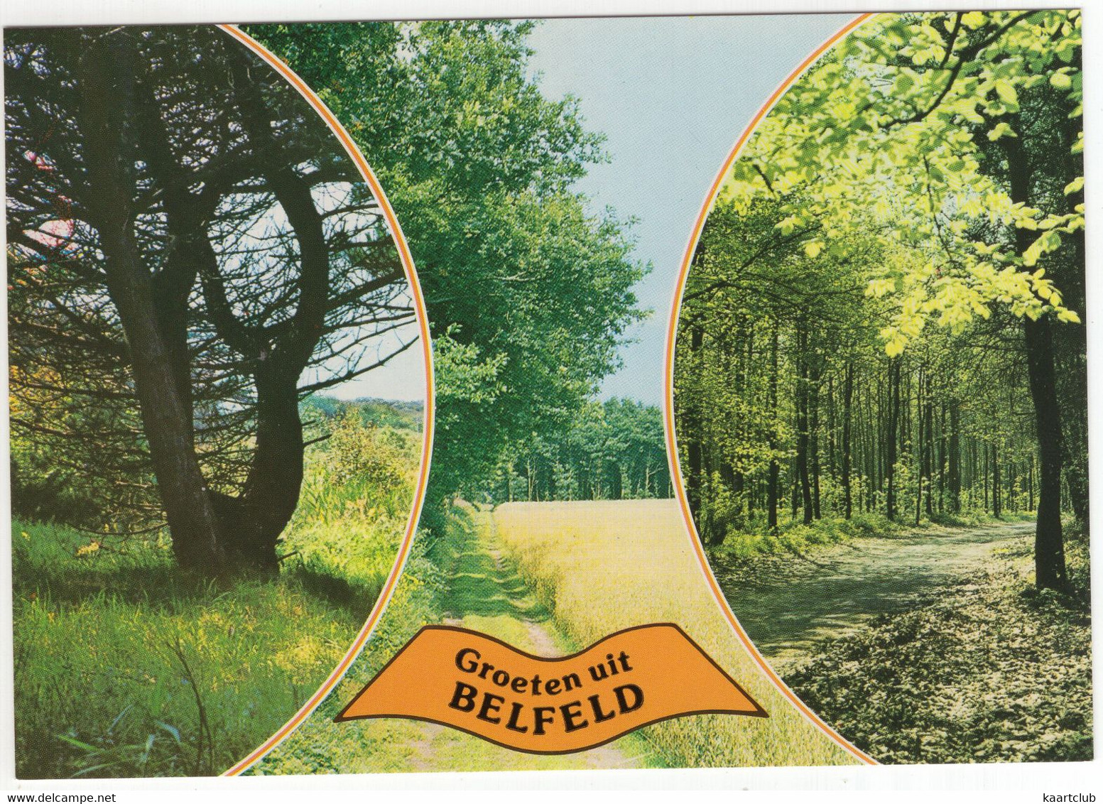 Groeten Uit Belfeld - (Venlo, Limburg, Nederland/Holland) - Nr. 786 - Natuur - Venlo