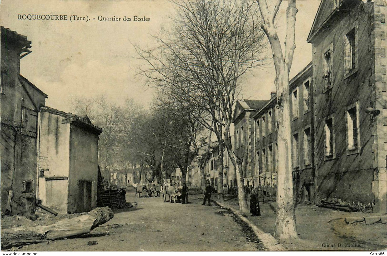 Roquecourbe * Rue Du Quartier Des écoles * Attelage Boeufs - Roquecourbe