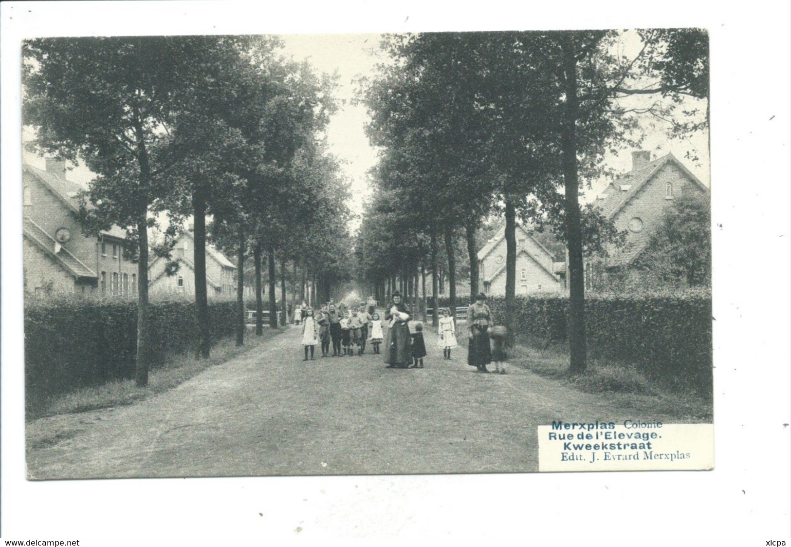 Merxplas Colonie - Kweekstraat - Rue De L'élevage - Merksplas - Merksplas