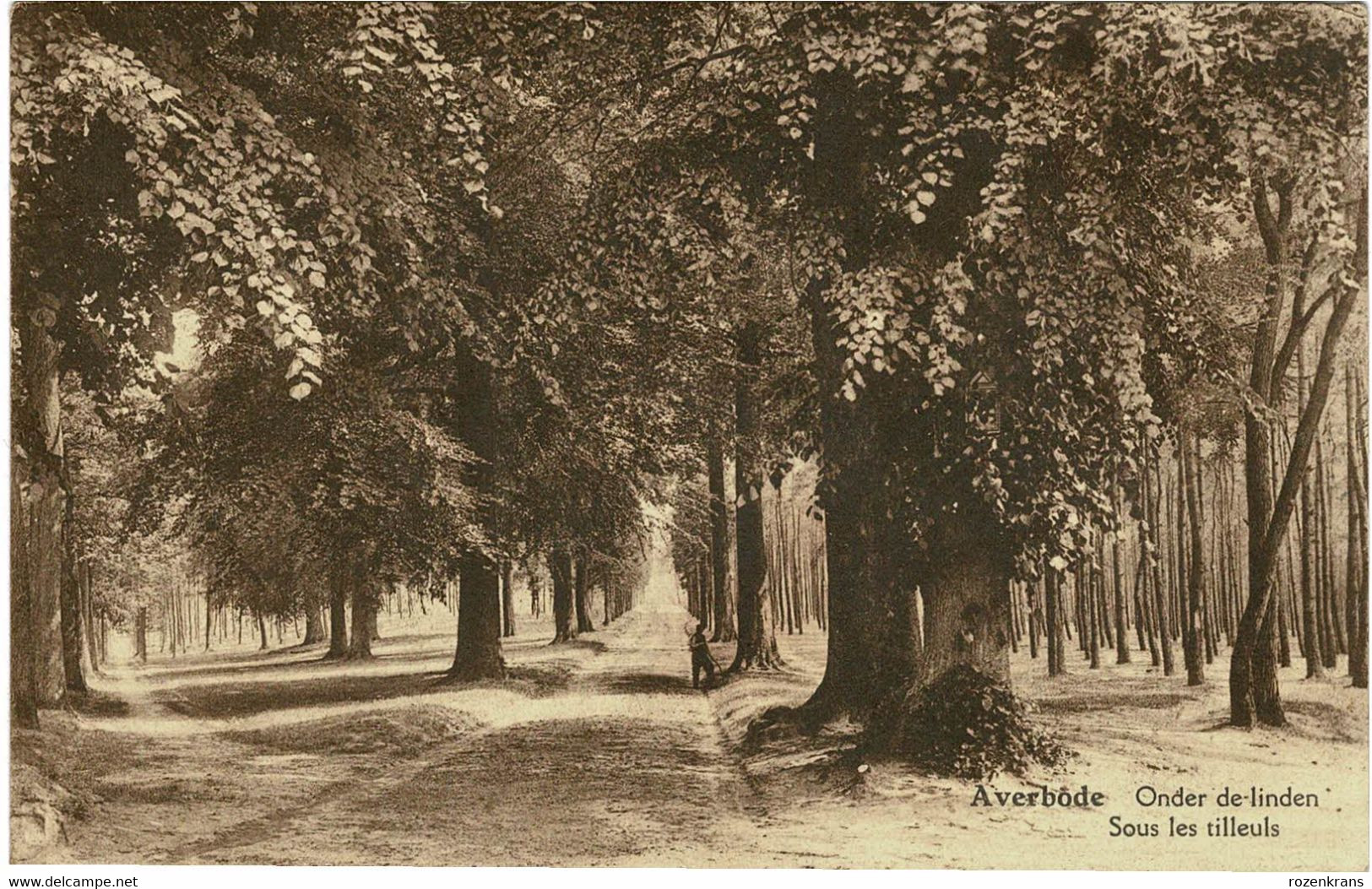 Lotje Van 2 Postkaarten Averbode Panorama Zicht Der Abdij Onder De Linden (In Zeer Goede Staat) - Scherpenheuvel-Zichem