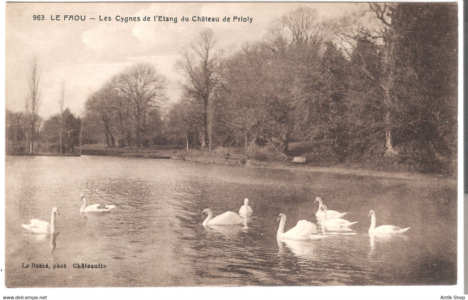 Le Faou - Les Cygnes De L'Etang Du Château De Prioly Von 1920 (5503) - Châteauneuf-du-Faou