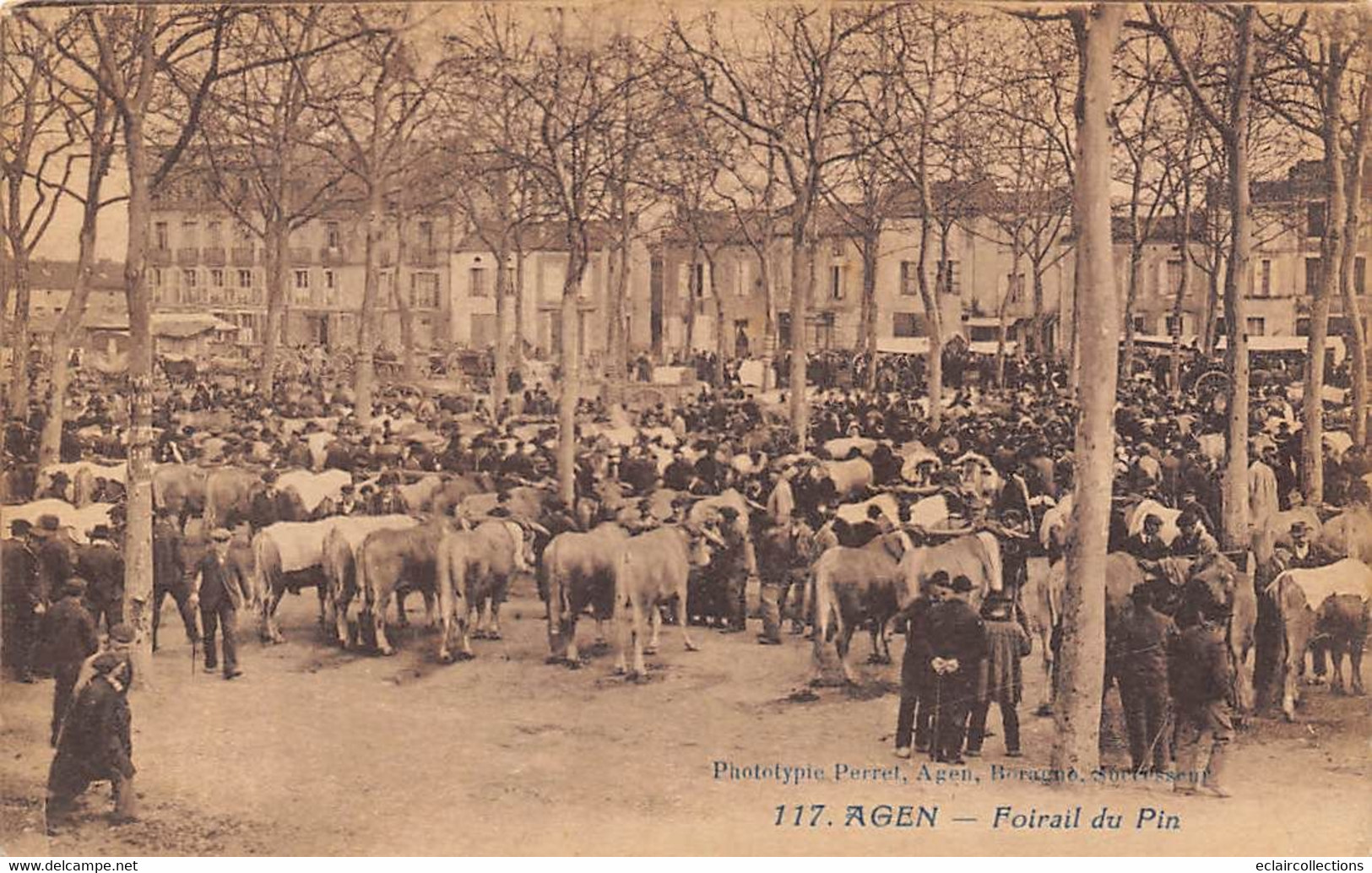 Agen       47         Foirail Du Pin  .  Marché Aux Bestiaux    (voir Scan) - Agen